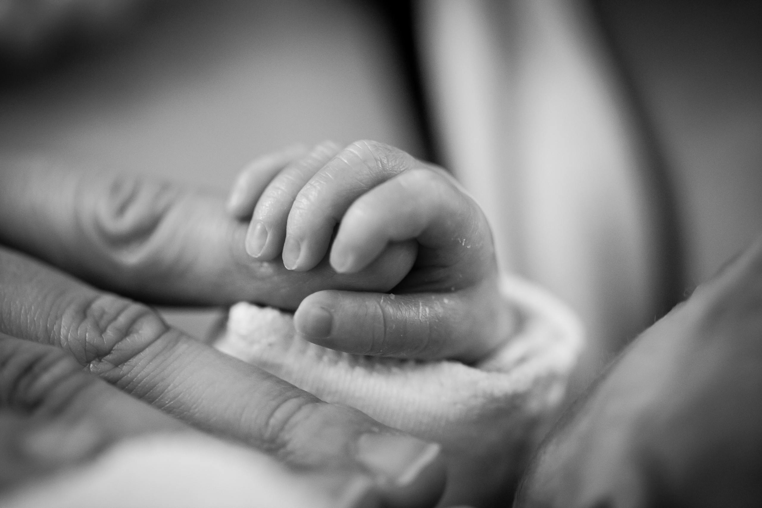 Close-up of a newborn's hand gently holding an adult's finger, symbolizing love and connection.